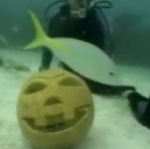 Underwater Pumpkin Carving 101